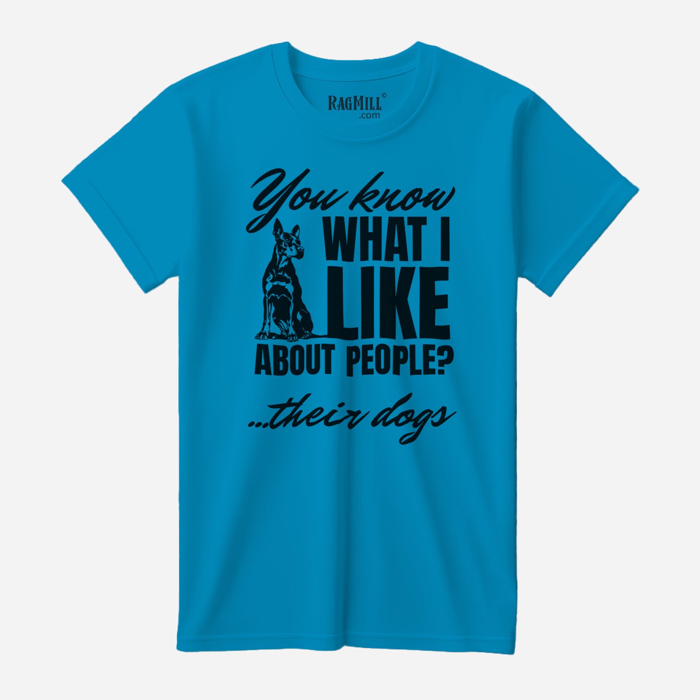 What I Like B+C 3001 T-Shirt