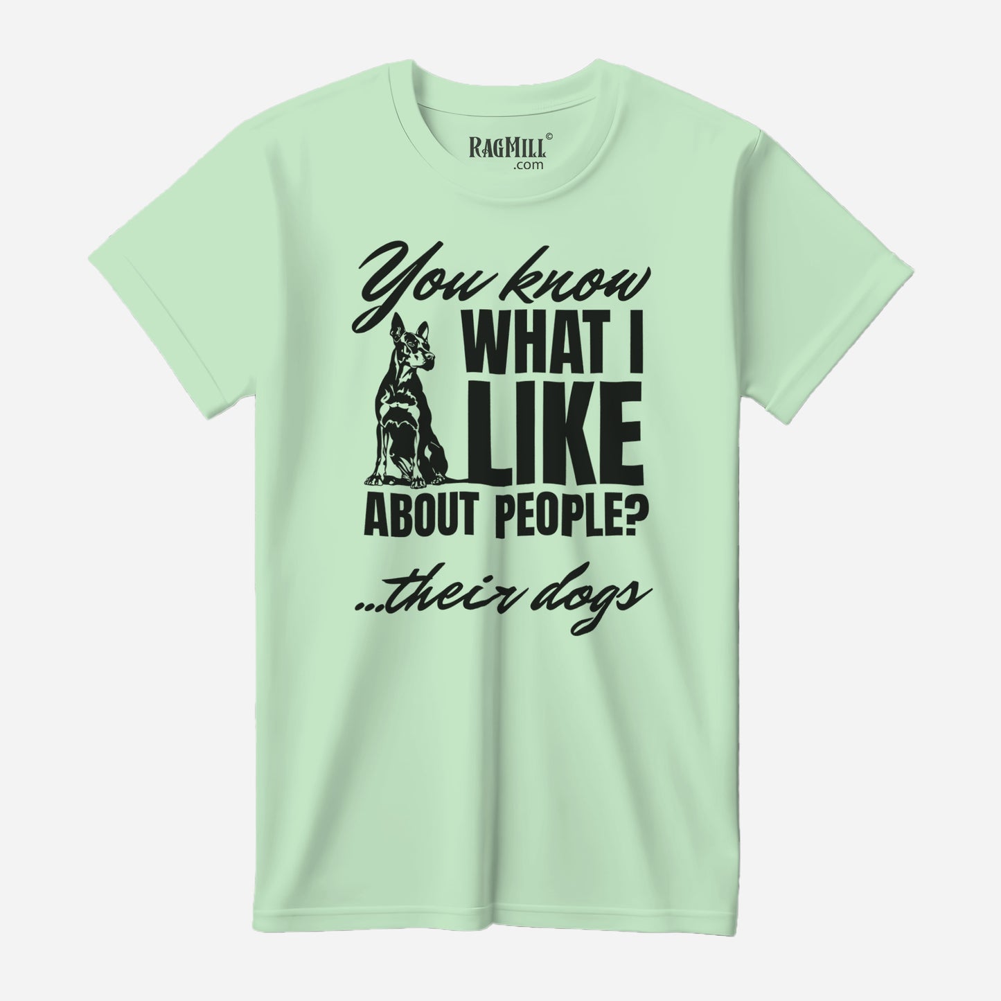 What I Like Mint Bella+Canvas T-Shirt