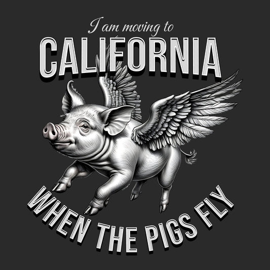 When Pigs Can Fly DTF Transfer