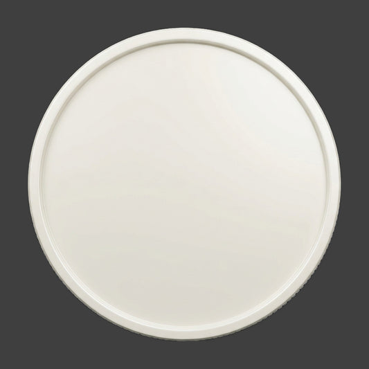 An off-white smooth edge blank coin