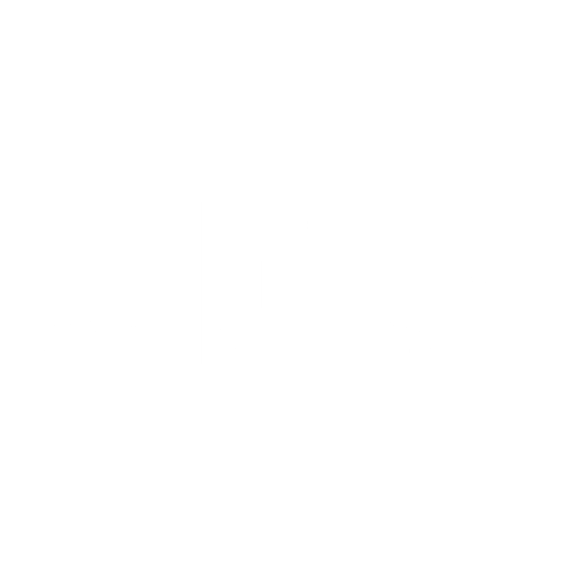 Autism DTF Transfer