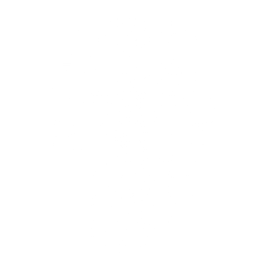 Bicycle Skull DTF Transfer