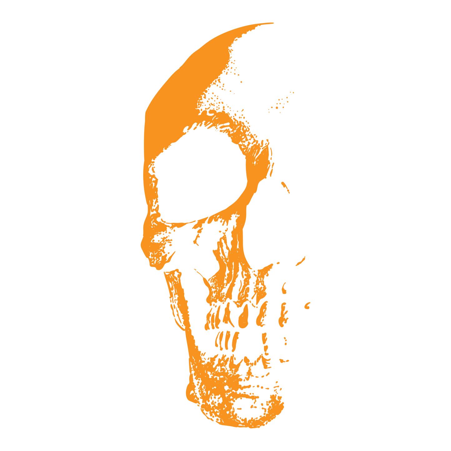 Black Skull DTF Transfer