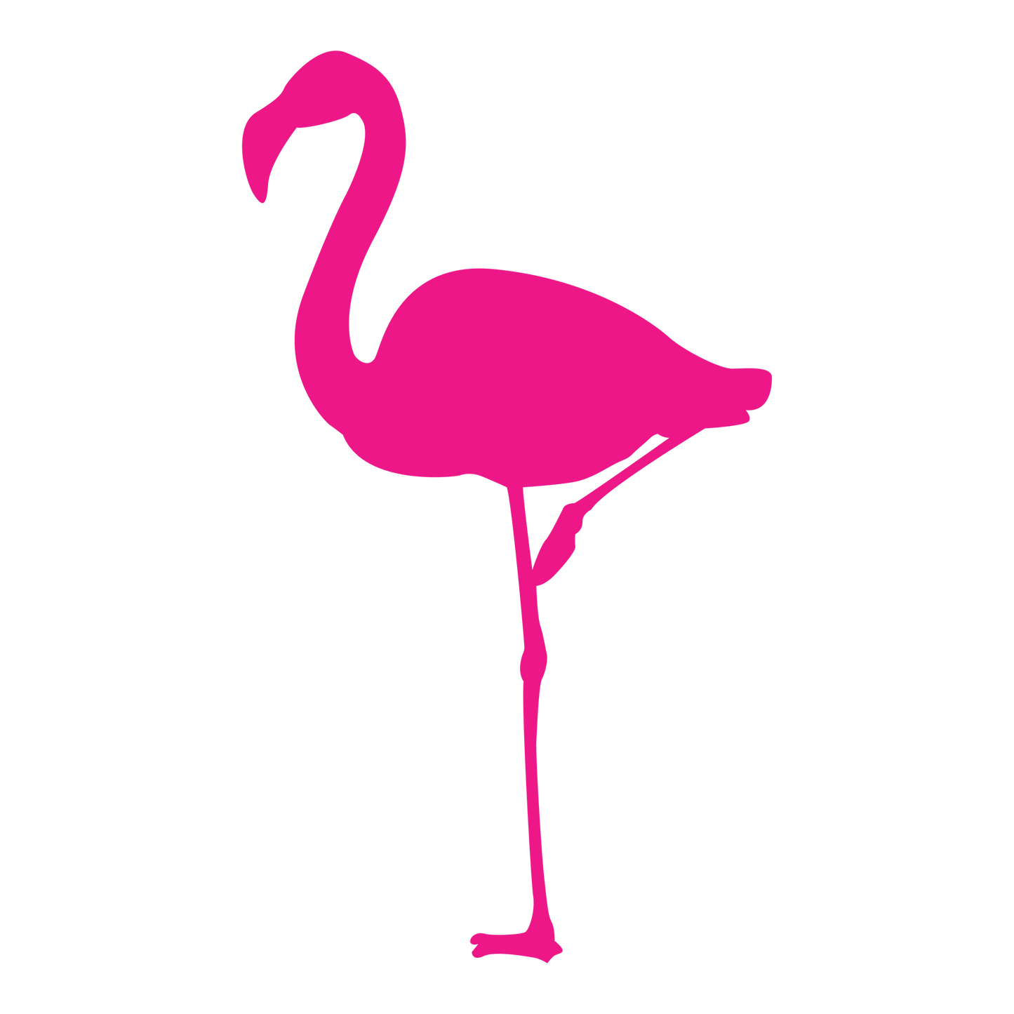 Flamingo DTF Transfer