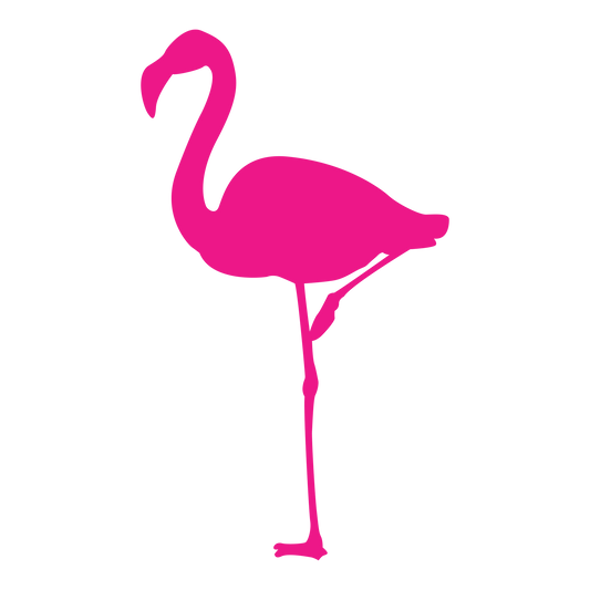 Flamingo DTF Transfer