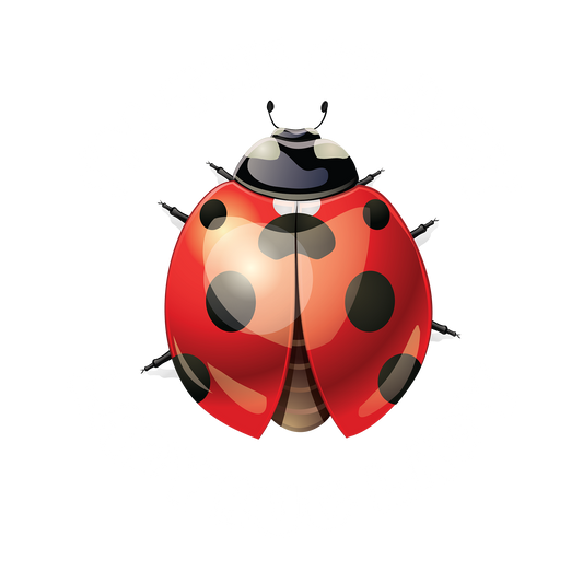 Ladybug Lady DTF Transfer