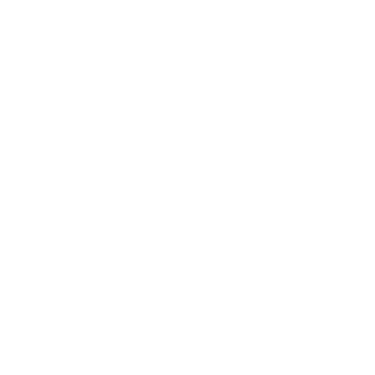 Paintball Skull DTF Transfer