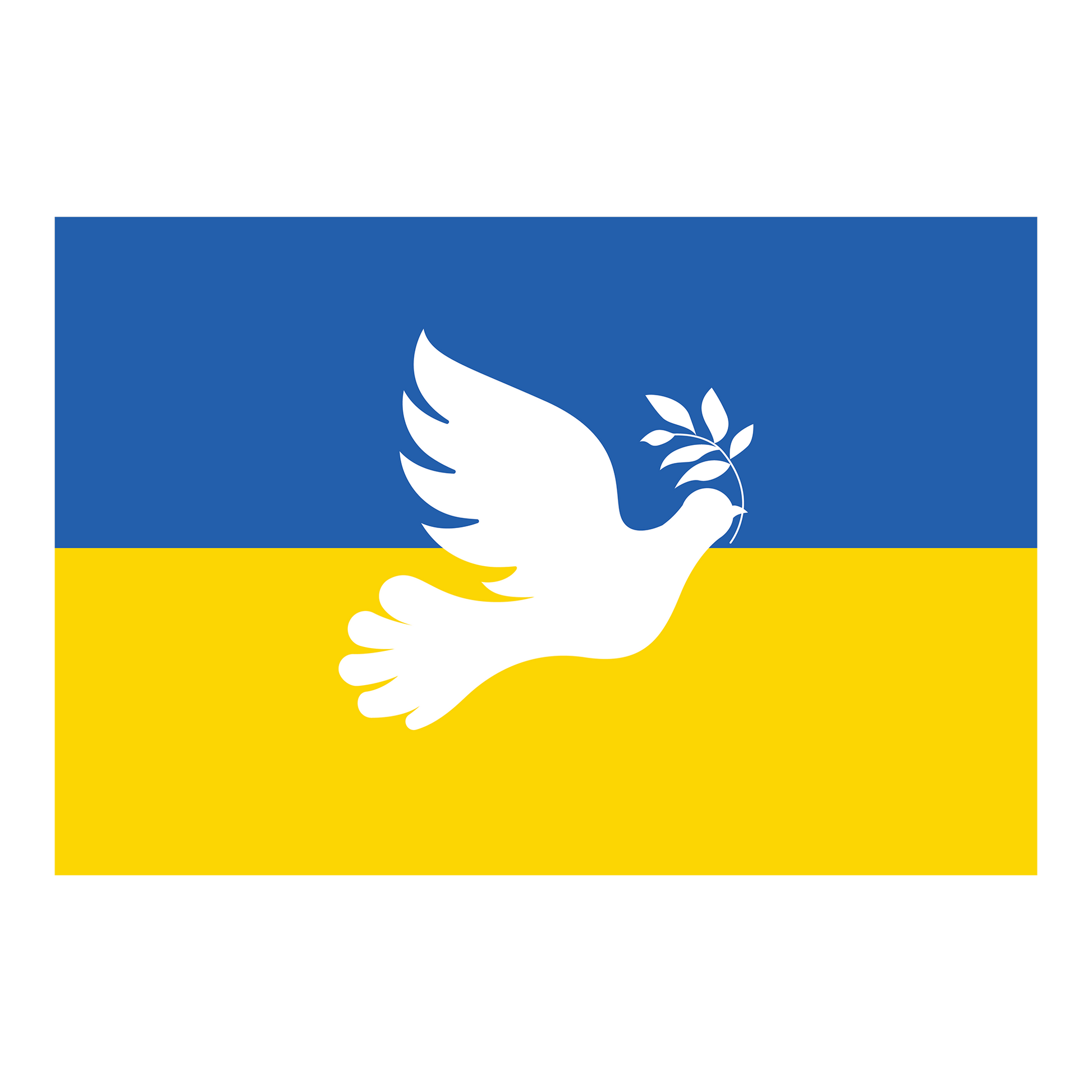 Ukraine Flag DTF Transfer