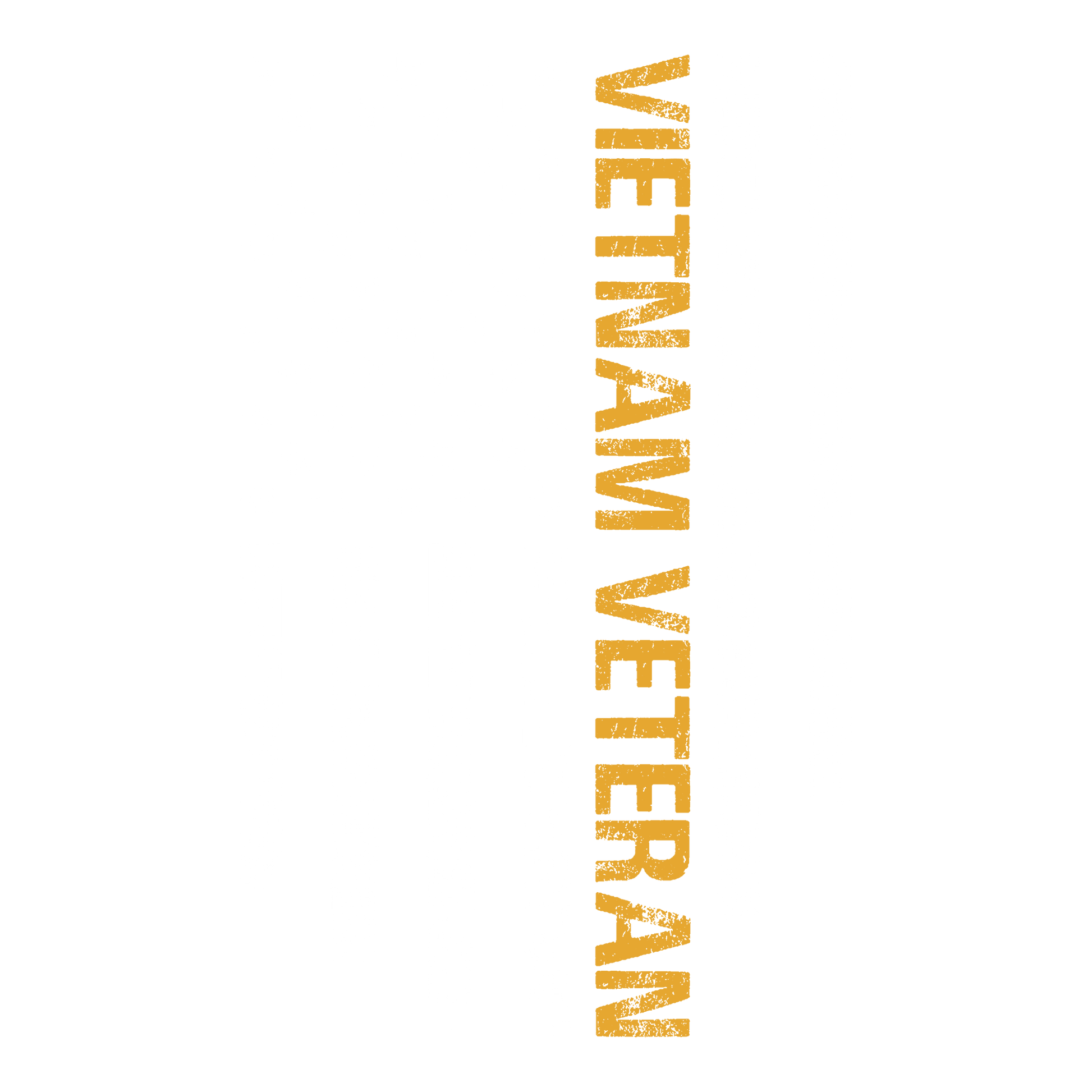 Vietnam Vet Flag DTF Design