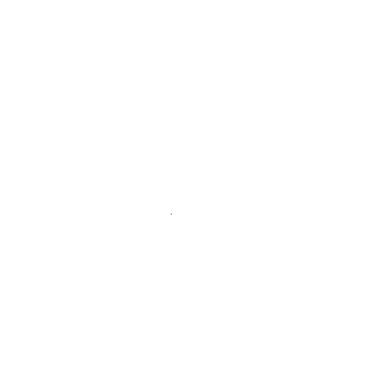 Zebra Bones DTF Transfer